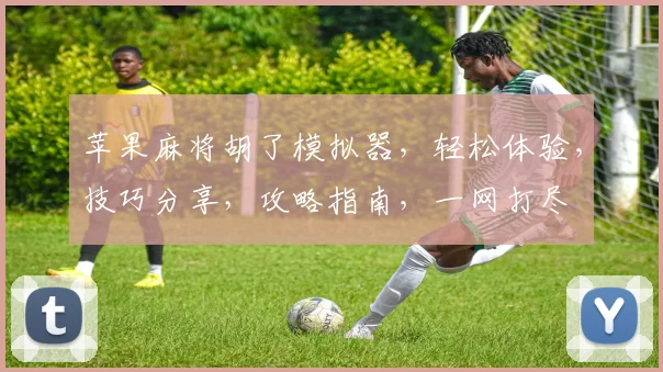 苹果麻将胡了模拟器，轻松体验，技巧分享，攻略指南，一网打尽