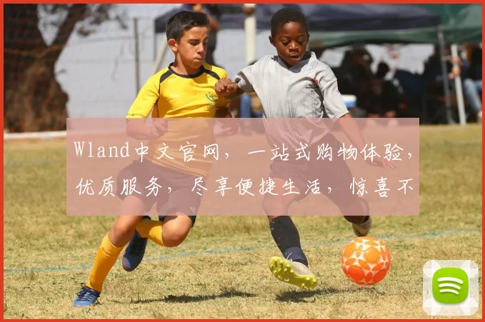 Wland中文官网，一站式购物体验，优质服务，尽享便捷生活，惊喜不断，不容错过