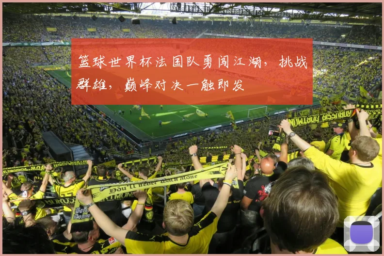 篮球世界杯法国队勇闯江湖，挑战群雄，巅峰对决一触即发