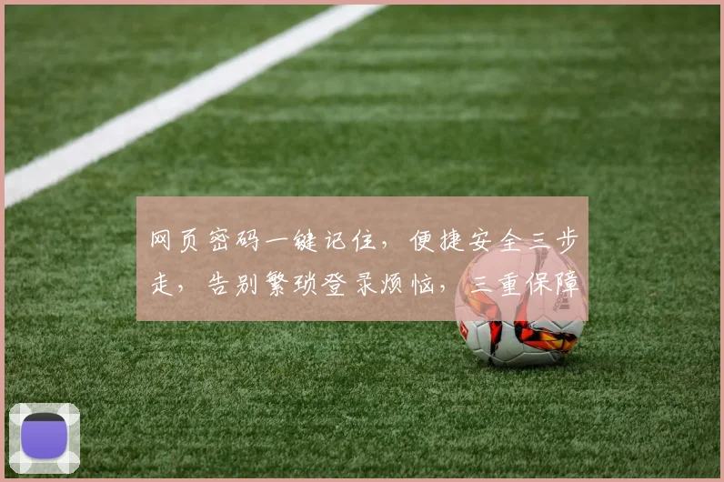 网页密码一键记住，便捷安全三步走，告别繁琐登录烦恼，三重保障，安心无忧
